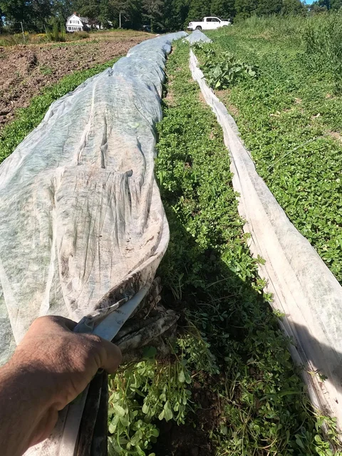 August 26th - A Small Team Still Gets It Done