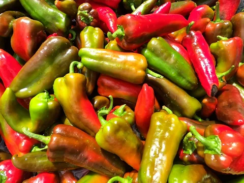 September 24th - Time and Timing (Again) / A Study in Italian Peppers