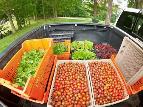 September 10th - Being Mindful of Rain