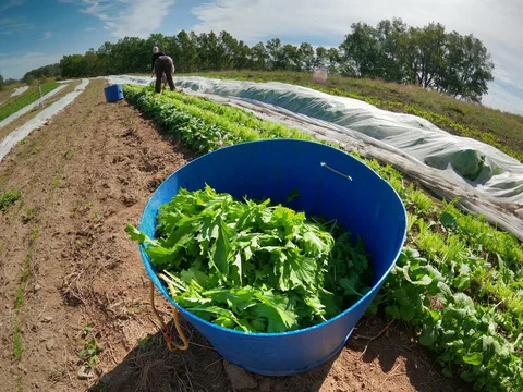 September 17th - Fall Harvesting / Tilling Lessons