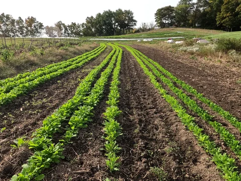 September 30th - Is Precision Agriculture Really the Future of Farming?