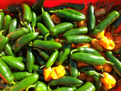 October 2nd - Preparing the Dry Fields for Winter