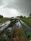 GOPR1073.JPG