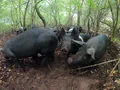GOPR1090.JPG