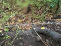 GOPR1095.JPG