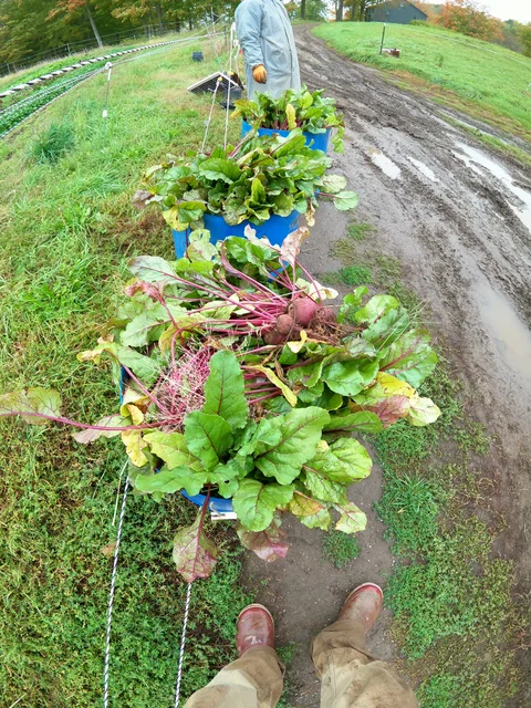 October 13th - There's Still Commitments to Fulfill