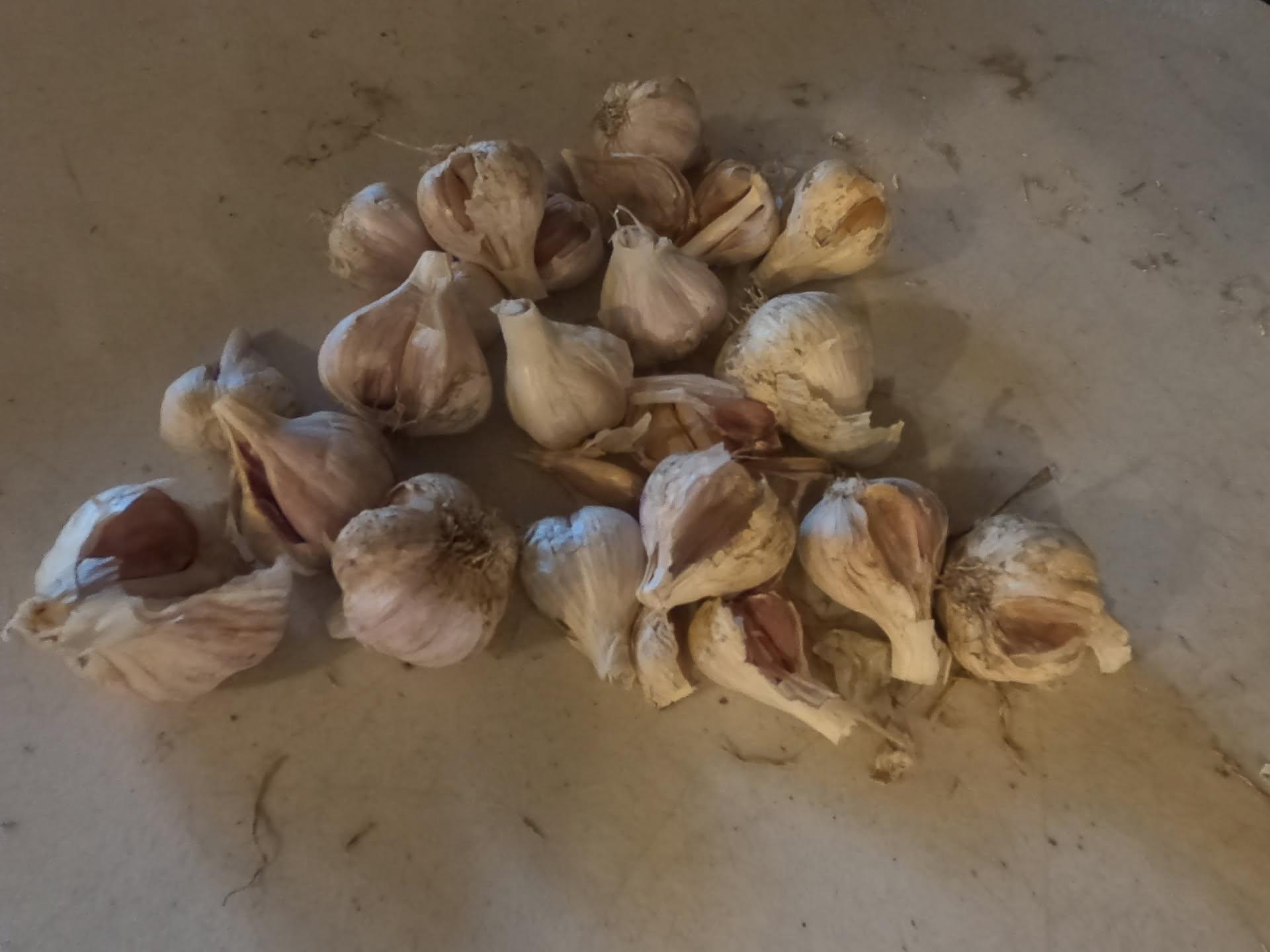 October 14th - Don't Put Off Until Tomorrow What Must Be Done Today