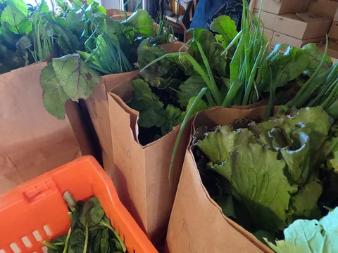 October 15th - A Break in the Weather