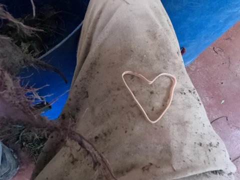 October 16th - The Summer Trip Before the Fall CSA