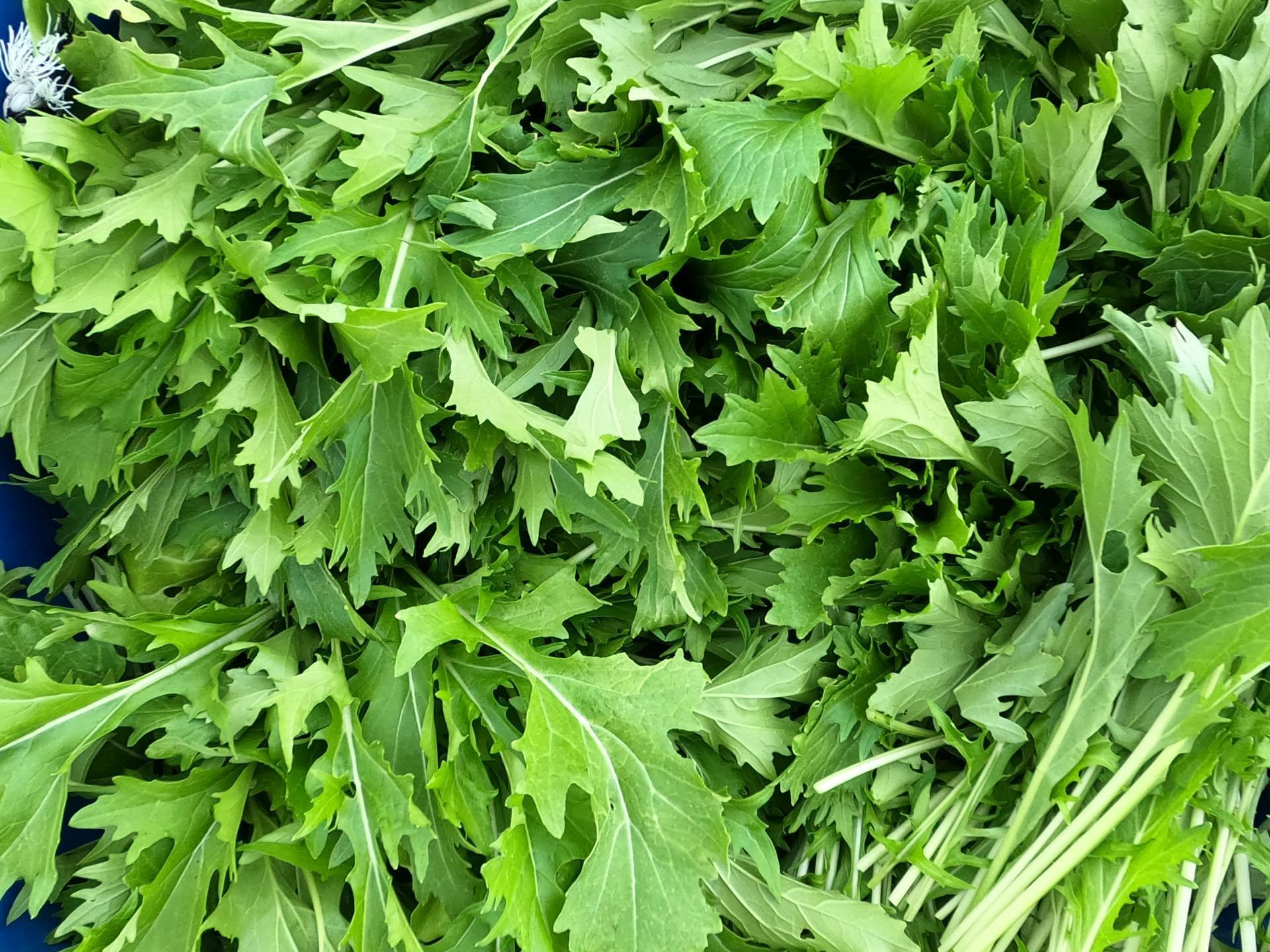 October 20th - Secret Salad Turnip Party