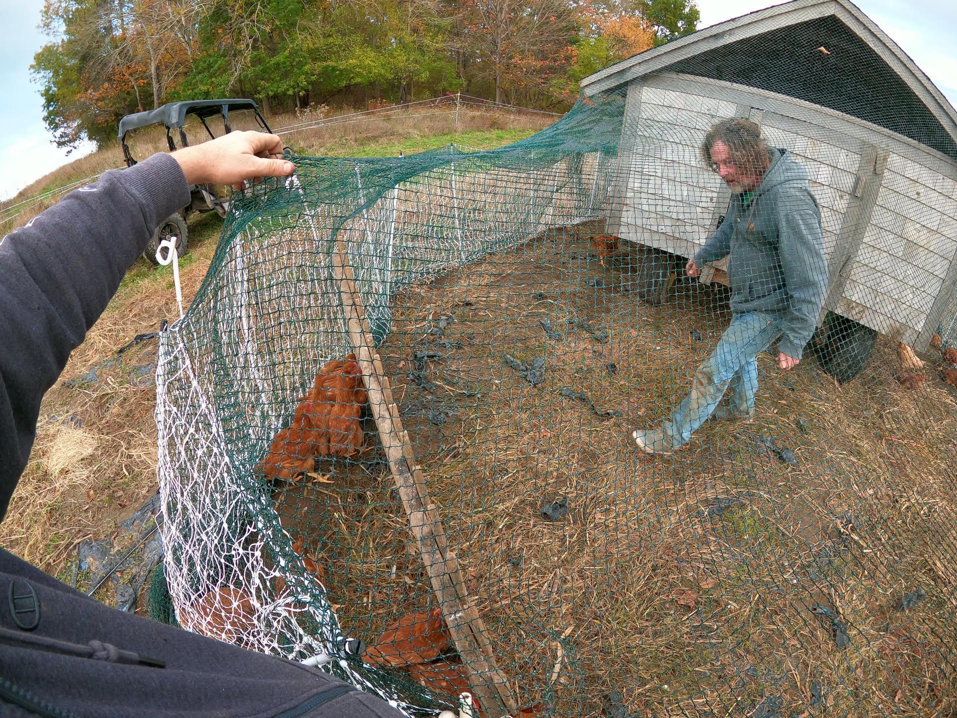 October 27th - Choy Sum is Awesome