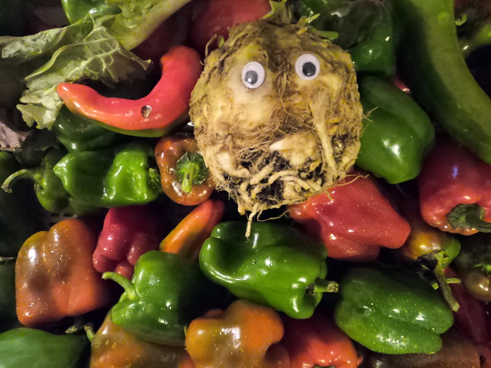 October 29th - Coops and Co-ops, Oh My