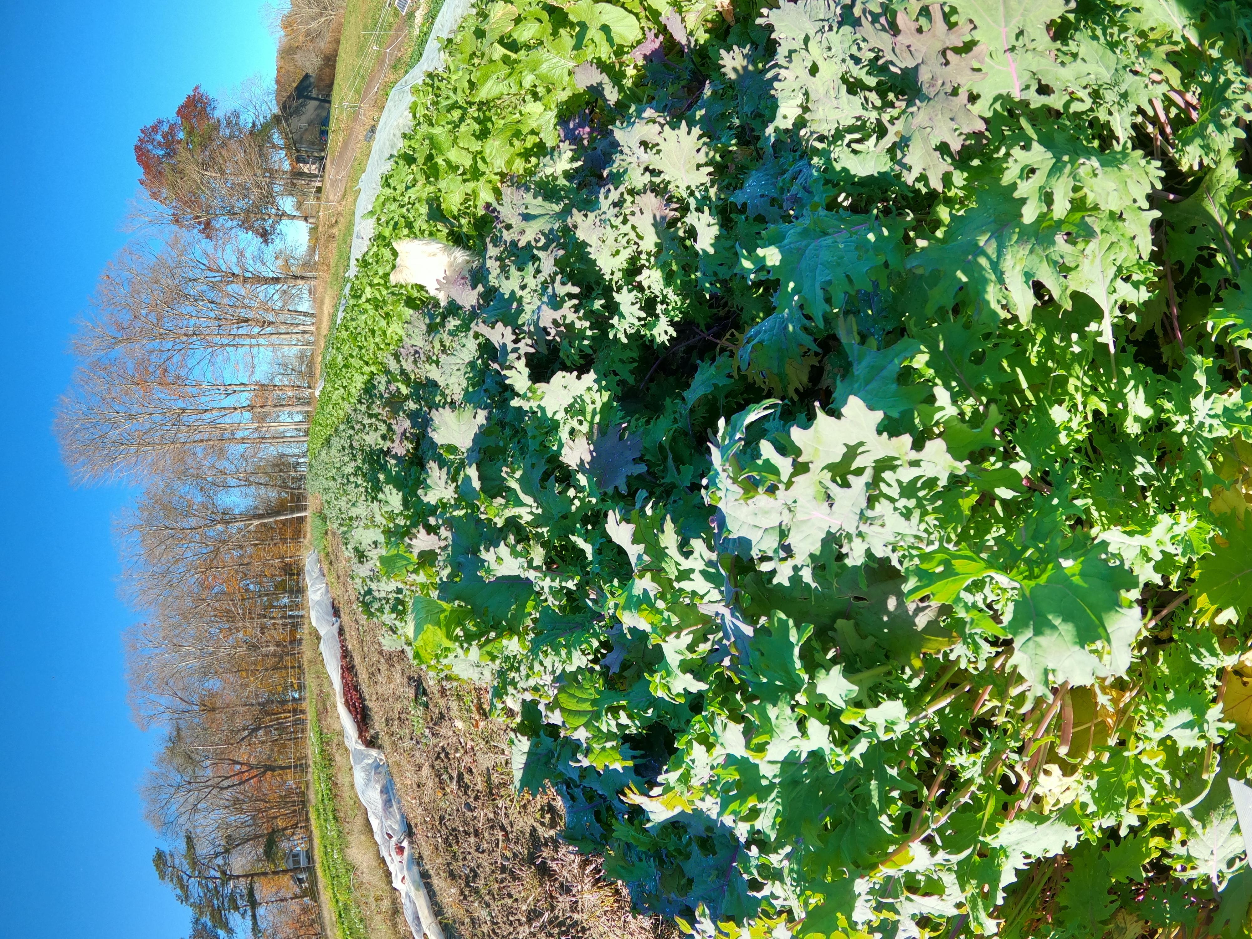 November 4th - Cleanup Comes in Many Forms