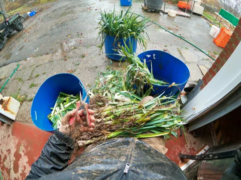 November 10th - Everything Leeks