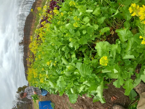 November 11th - Don't Resent the Special Snowflakes