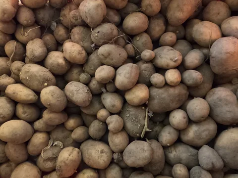 November 18th - Still Plenty Left to Do