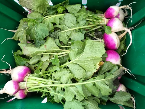 November 20th - When to Add a Produce Manager