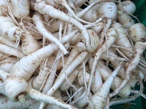 December 1st - On Parsnips and Deterrence