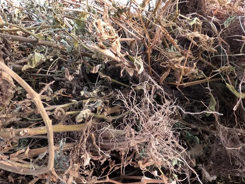 December 9th - What Doesn't Thaw Makes Us Stronger