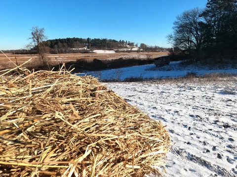 December 16th - Cold at the End of the Tunnel